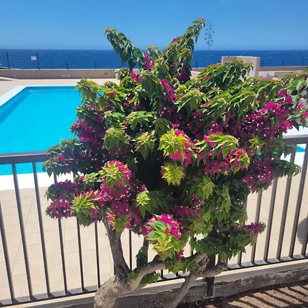 Atlantic View Tenerife South 公寓 阿罗纳