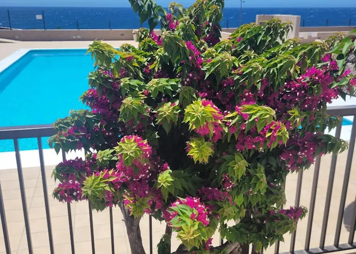 Atlantic View Tenerife South Apartman Arona