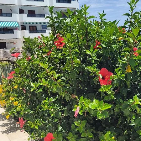 Atlantic View Tenerife South