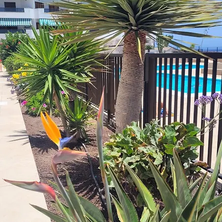 Apartamento Atlantic View Tenerife South